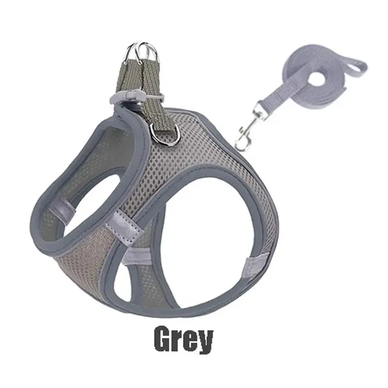 Reflective Adjustable Pet Harness for Safe, Comfortable Walks