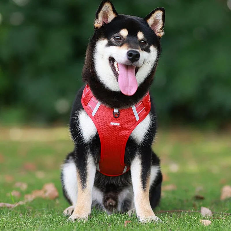 Reflective Dog Chest Strap