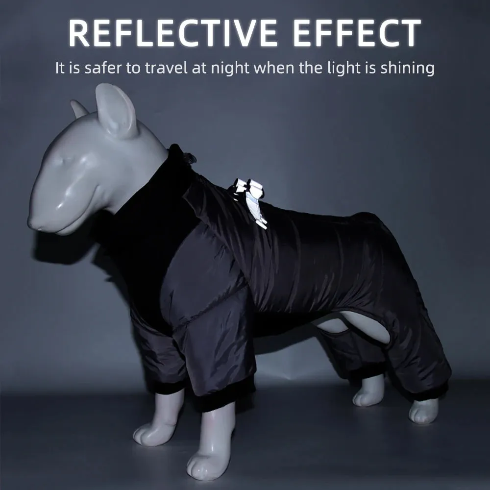 Reflective Waterproof Winter Jacket and Harness Combo for Small and Medium Dogs - Keep Your Chihuahua Warm and Safe in Cold Weather