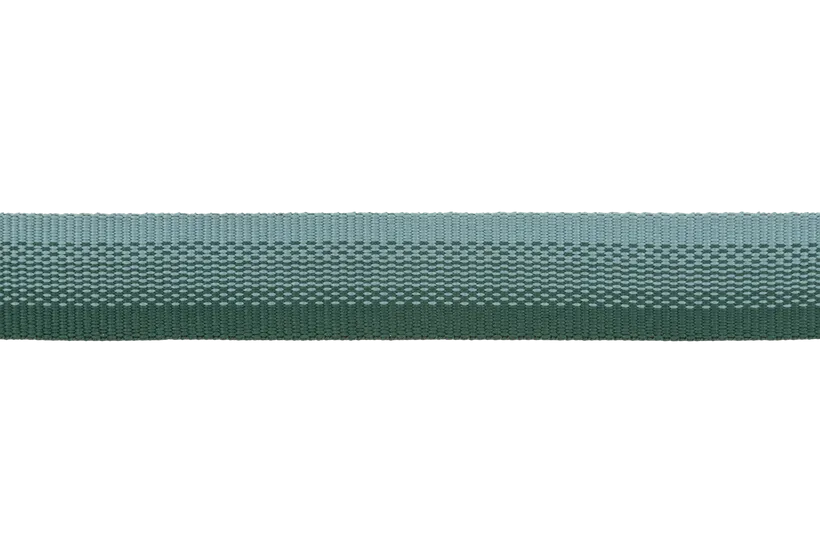 Ruffwear Front Range Dog Collar in River Rock Green