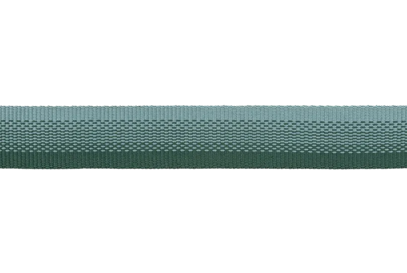 Ruffwear Front Range Dog Collar in River Rock Green