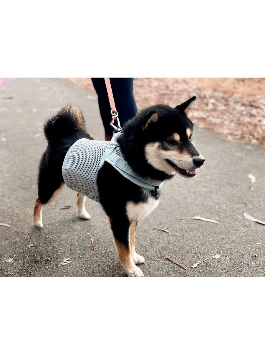 Sleepypod Martingale Dog Harness