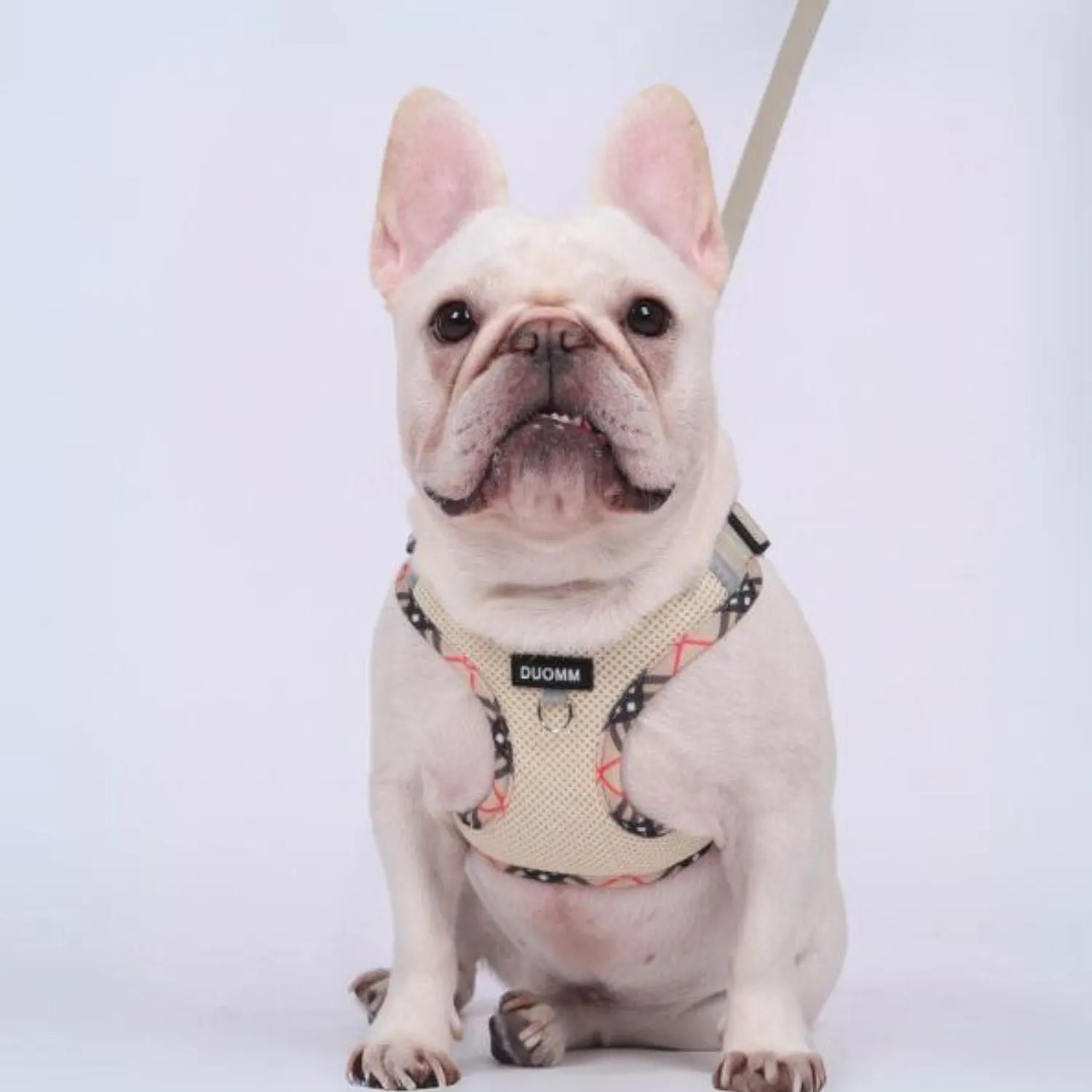 Stridez Heavy-Duty No Pull Frenchie Explosion-Proof Harness