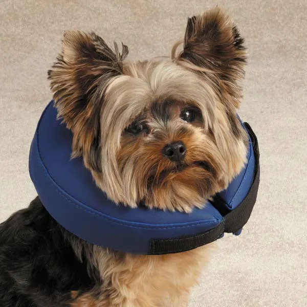 Total Pet Health Inflatable Collar - Various Sizes